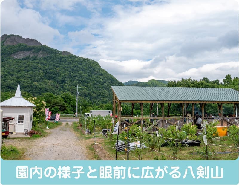 果樹園