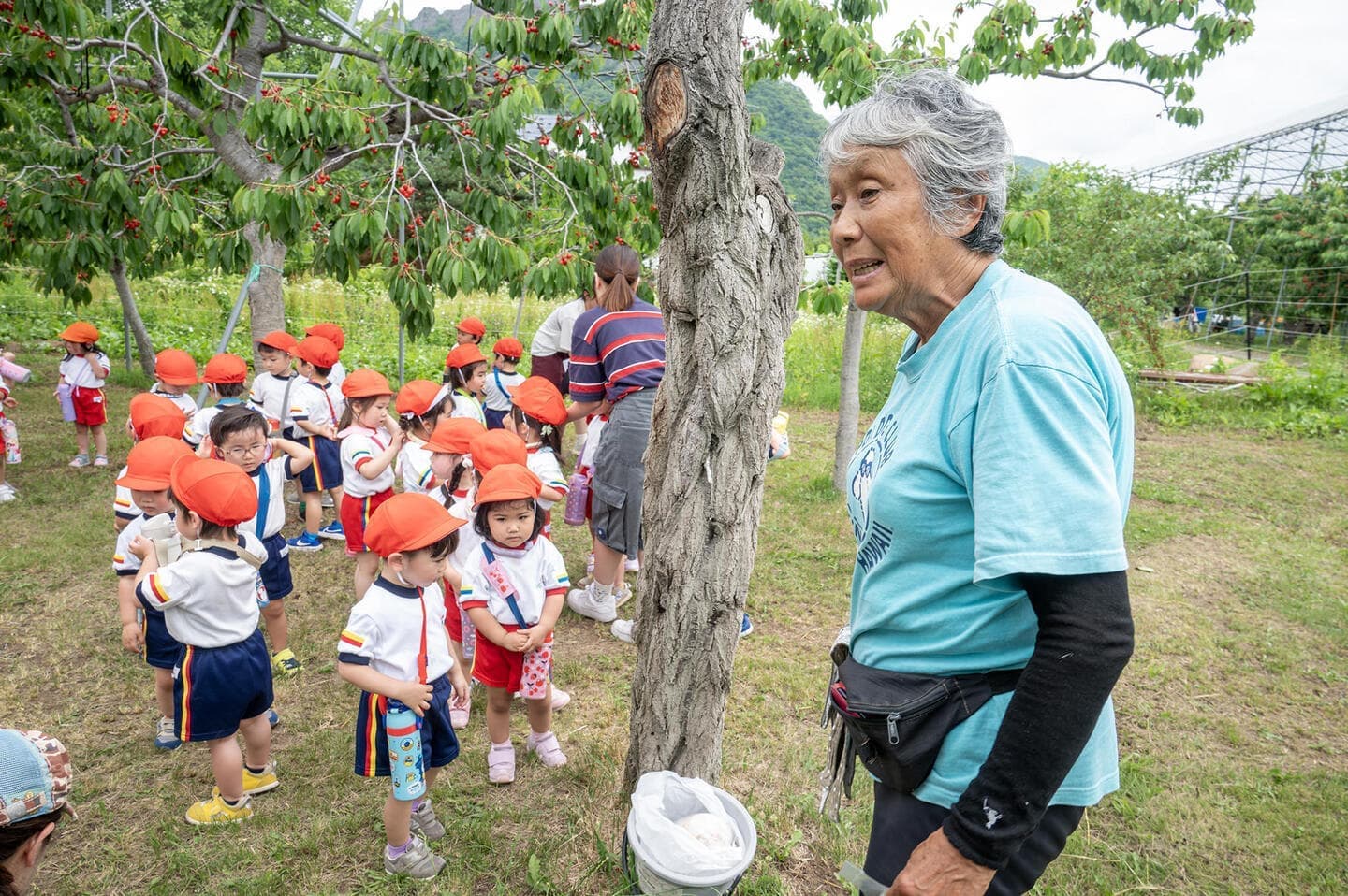 幼稚園