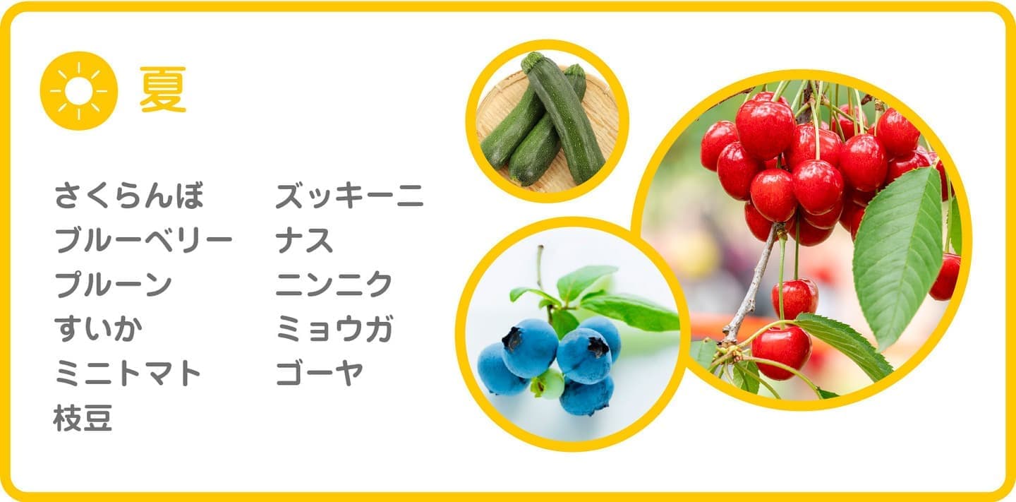 季節のフルーツ