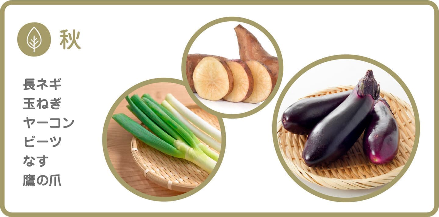 季節のフルーツ