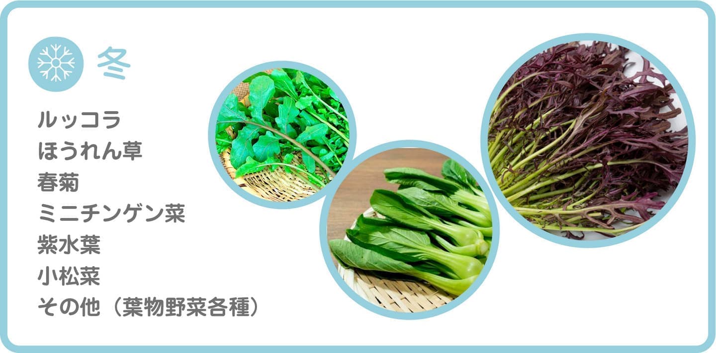 季節のフルーツ