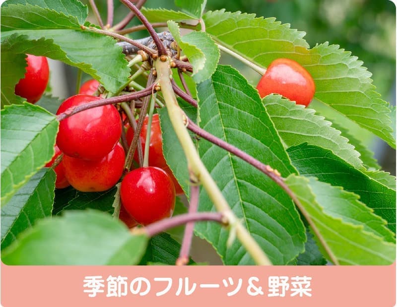 季節のフルーツ