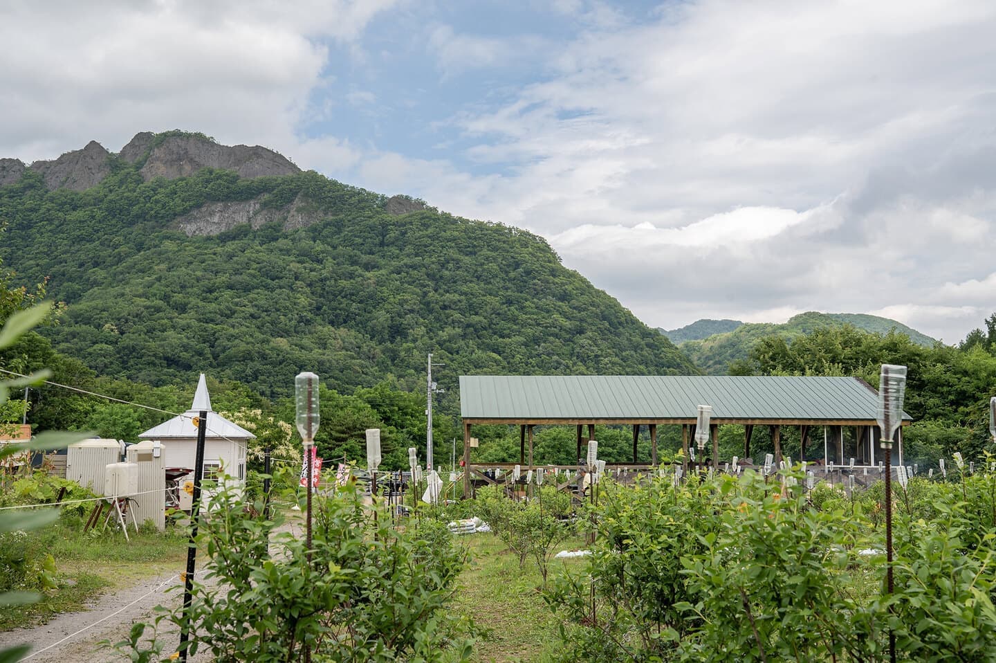 アルシェフェルム